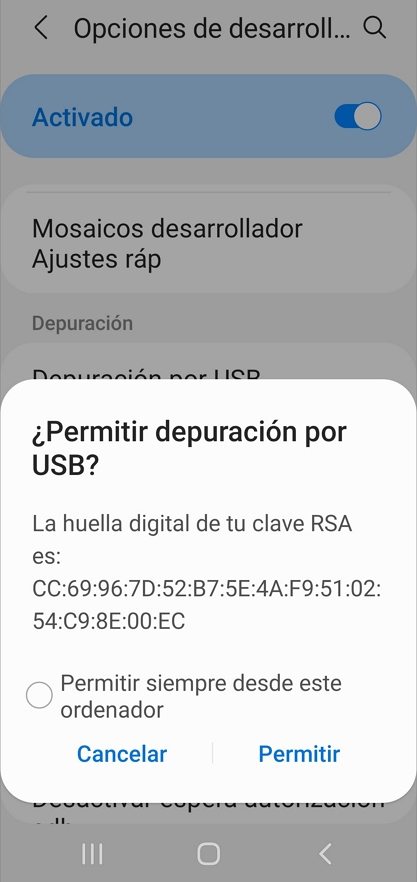 permitir depuración por USB para Pokémon fly