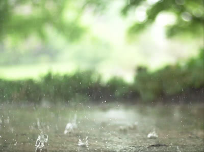 Raindrops