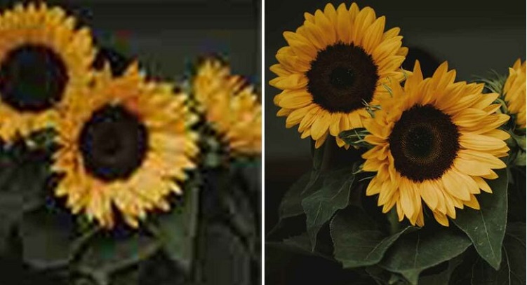 照片解析度提高新手教學：快速把低畫質圖片解析度提高