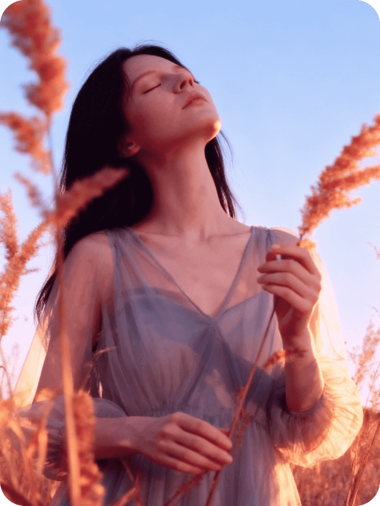 動画テンプレート