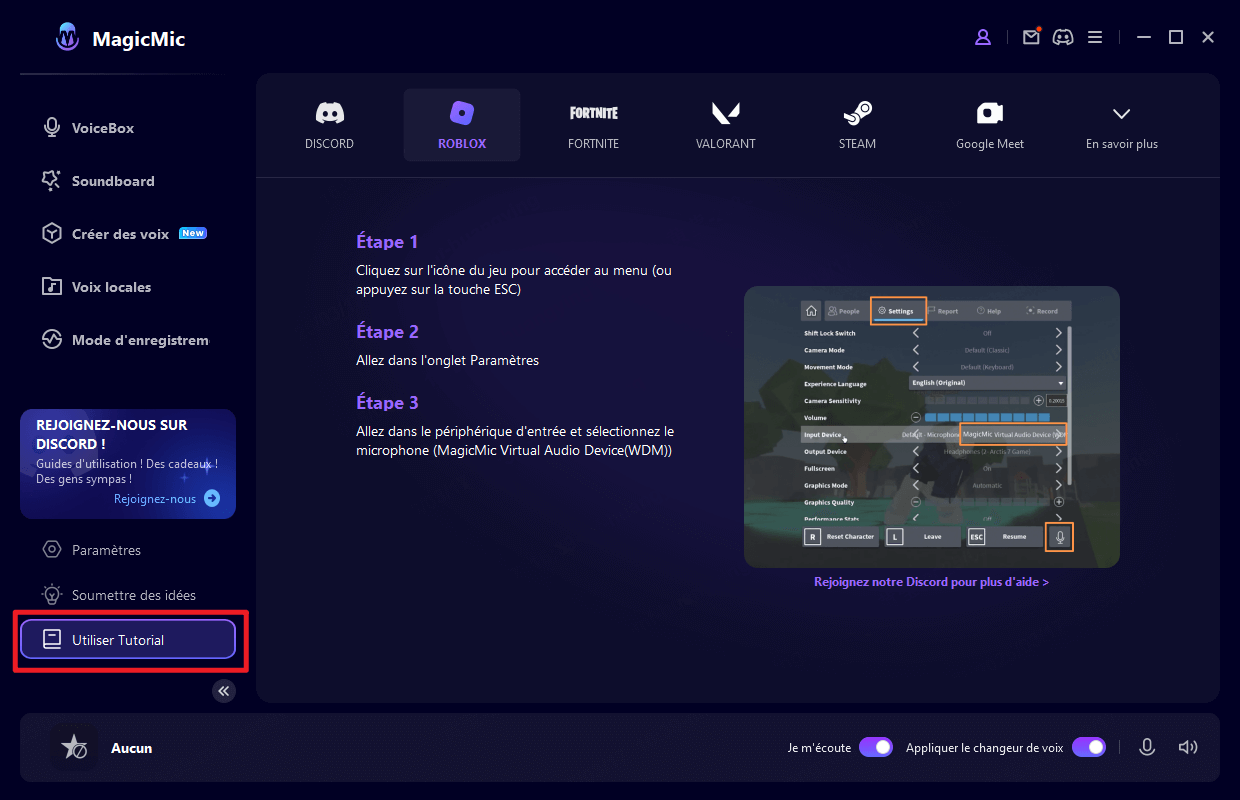 guide d'utilisation du logiciel magicmic
