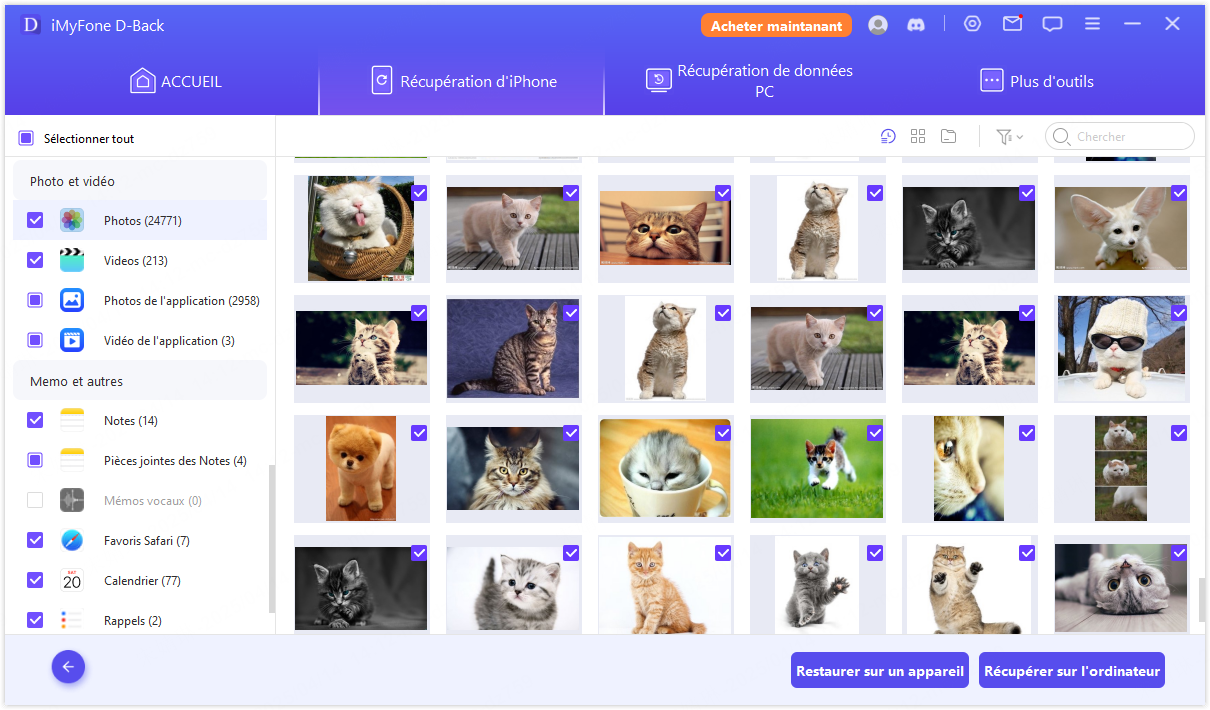 Récupérez en prévisualisant les données perdues