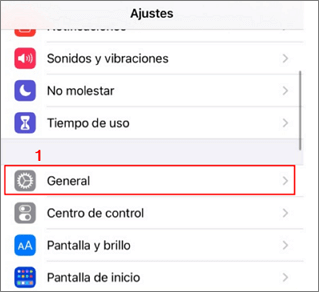 General de ajuste de iPhone