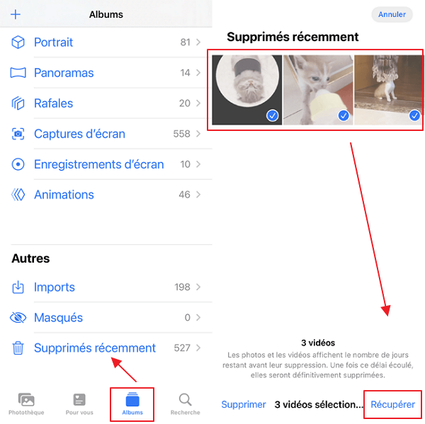 récupérer les vidéo de Récemment Supprimées