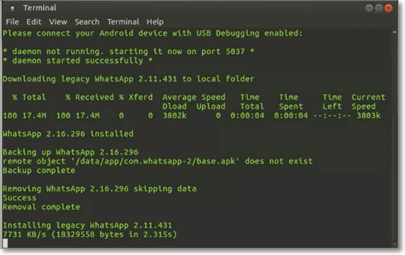 ejecutar el archivo de extracción en la terminal